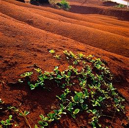 3DM速报：育碧发布会《阿凡达》惊艳亮相 今年E3没有GTA等新作