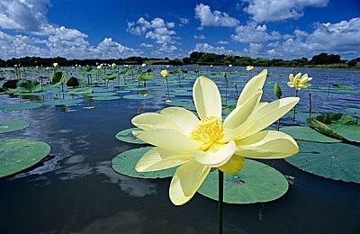 微软出手封禁在Xbox Series X|S上安装模拟器的用户